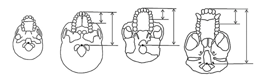 Obraz zawierający szkic, rysowanie, Grafika liniowa, diagram

Opis wygenerowany automatycznie