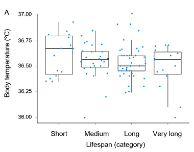 Box-and-whiskers plots show survival-related trends in body temperature for men (top panel) and women (bottom panel) across four lifespan categories. In both sexes, medians decrease with longevity, and outliers appear mainly in the long-lifespan category 
