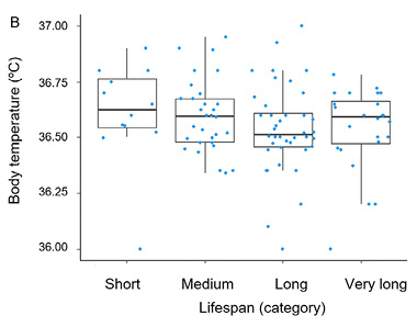 Box-and-whiskers plots show survival-related trends in body temperature for men (top panel) and women (bottom panel) across four lifespan categories. In both sexes, medians decrease with longevity, and outliers appear mainly in the long-lifespan category 