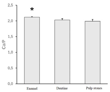 Ca/P ratio for the tooth enamel, dentine, and pulp stones (* – indicates a significantly higher Ca/P ratio for enamel compared with the dentine and pulp stones)