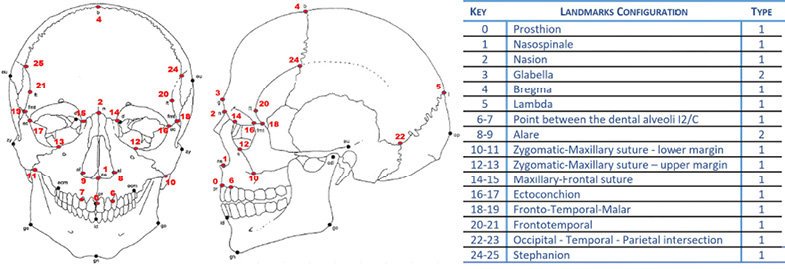 This figure shows a picture of a human skull with the anatomical landmarks used in this study and a table listing the name and the type of landmarks. This image is drawn from Buikstra and Ubelaker (1994).