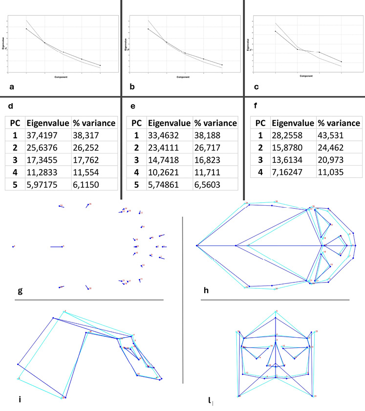 This figure shows the tables and graphs reporting the % of variance and the eigenvalues covered by the specimens and, the lollipop and wireframe graphs by superior, lateral and frontal views.