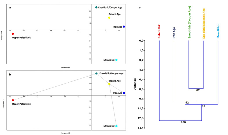 This figure shows the PCA of the Procrustes Coordinates of the averages of each period and the Cluster Analyses representing the divergences in Sicily from the Palaeolithic to the Iron Age.