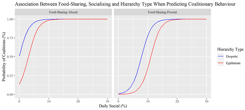 A figure containing two dual-line plots, each representing the presence vs absence of food-sharing in the relationship between daily socialising predicting probability of coalitions. 