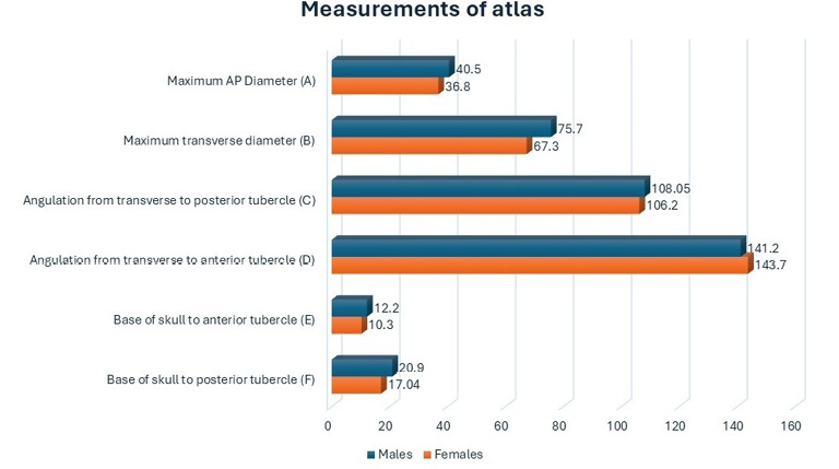 Graph showing a summary of mean values of the different anatomical parameters of the atlas per sex.