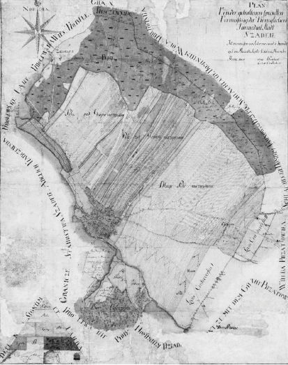 Plan Szadku z 1805 roku. Miasto w granicach administracyjnych z zaznaczonym użytkowaniem ziemi. W północnej części miasta las. Zabudowa miejska zajmuje bardzo niewielki obszar przylegający do granicy administracyjnej miasta od południowego-zachodu. Pozostałe tereny są użytkami rolnymi, w tym trzy duże kompleksy gruntów ornych zwane: Polem Pod Gajnym, Polem Za Gumnym i Polem Długim.