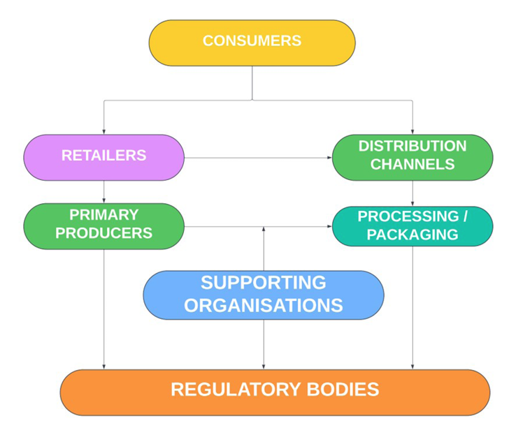 Fig. 1. Flow of short food supply chain in Kosovo. Diagram illustrating the agri-food system: consumers at the top, connected to retailers, distribution channels, primary producers, and processing/packaging; all linked to supporting organisations and regulatory bodies positioned at the base.