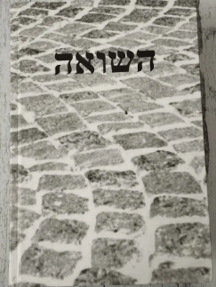 Widoczna jest okładka książki. Okładka przedstawia kostkę brukową z tytułem.