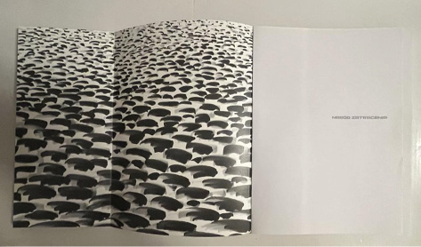 Widoczna jest rozkładana wyklejka publikacji Narodu zatracenia. Po prawej stronie przedstawia kostkę brukową a po lewej stronie napis.