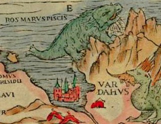 Ilustracja 5. Rosmarus piscis. Pierwsza znana podobizna morsa arktycznego (1539)