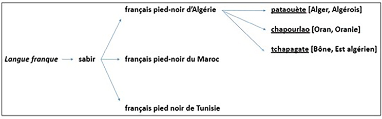 Tableau illustrant les variantes du français pied-noir parlées en Afrique du Nord.
