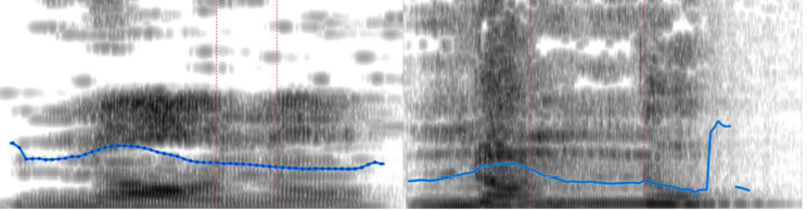 Illustration des spectrogrammes des mots nòno et nònno