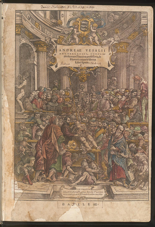 Scène d’anatomie : André Vésale dissèque un corps humain devant un public dans un amphithéâtre. Illustration tirée de son œuvre majeure sur l’anatomie, publiée au XVIe siècle.
