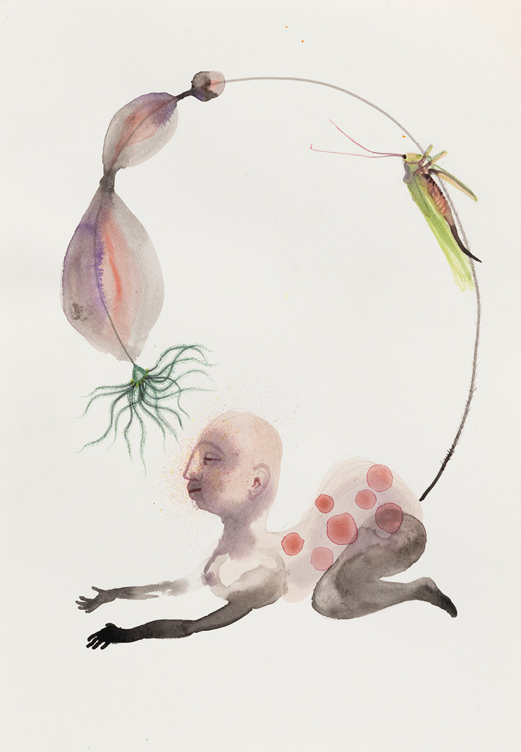 Silhouette de sphinge, mi-humaine mi-animale, mouchetée de rouge, allongée sur le ventre. Elle hume une fleur dont la tige recourbée sort de ses fesses et sur laquelle est accrochée une sauterelle. Aquarelle aux tonalités de rose, de gris et de vert.