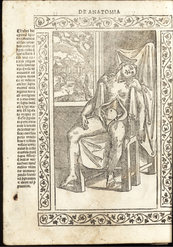Page ancienne d’un traité d’anatomie : un corps féminin disséqué est assis, entouré de motifs floraux. Vue paysagère en arrière-plan, texte explicatif en latin sur les veines, artères, nerfs et muscles.