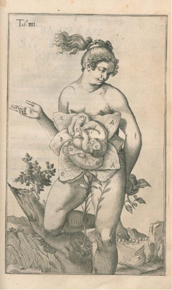 Illustration anatomique ancienne : figure féminine avec une matrice en forme de fleur, dont les pétales sont marqués de lettres. Image symbolique représentant l’utérus comme un jardin fécond.