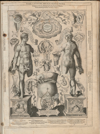 Illustration anatomique ancienne : languette ornée d’une tête serpentine placée sur le bassin féminin, pouvant être soulevée pour révéler la matrice et le fœtus. Image interactive et symbolique.