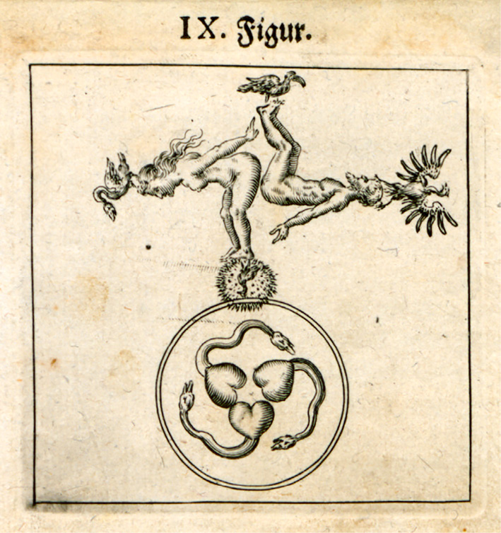 Illustration alchimique : un homme avec un oiseau sur la tête et une femme avec un serpent sortant de la bouche, reliés par les pieds. En dessous, trois serpents entrelacés aux corps en forme de cœur dans un cercle.