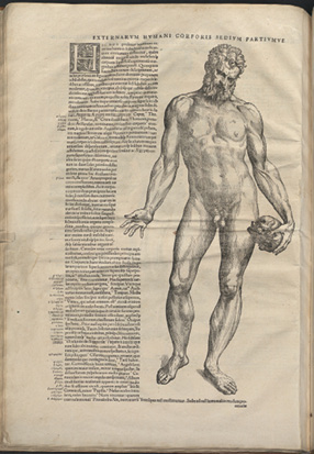 Illustration anatomique ancienne d’un homme, entourée de textes explicatifs en latin. Le titre en haut indique : “Externarum humani corporis sedium partiumque”. Le dessin détaille les parties externes du corps humain.