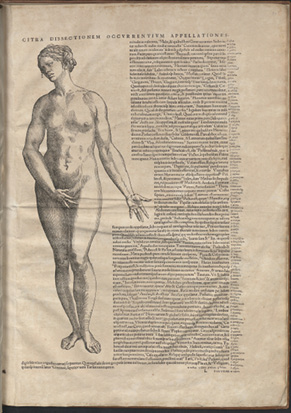 Illustration anatomique ancienne d’une femme, entourée de textes explicatifs en latin. Le titre en haut indique : “Externarum humani corporis sedium partiumque”. Le dessin détaille les parties externes du corps humain