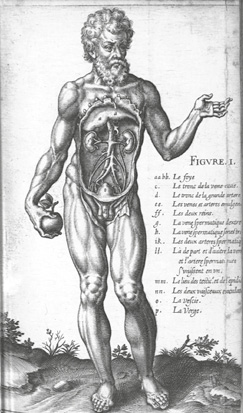 Illustration anatomique d’un corps humain aux organes internes visibles. L’homme tient une pomme à la main et pointe du doigt. À droite, une liste légendée identifie les organes comme le foie, les reins et les vaisseaux.