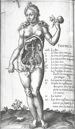 Illustration anatomique d’un corps féminin aux organes internes exposés. La femme tient une pomme dans la main gauche et couvre son sexe avec une plante. Légendes à droite identifient les organes internes.