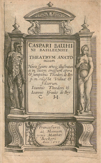 Illustration anatomique ancienne encadrée, avec un texte latin évoquant l’œuvre de Caspar Bauhin, publiée à Francfort en 1605 par la famille de Bry. Le cadre orné souligne le caractère historique et scientifique du document.
