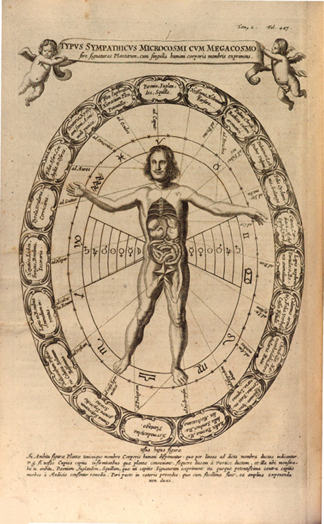 Illustration anatomique d’un corps humain avec organes internes, entouré d’un ovale orné de symboles astrologiques et alchimiques. Deux chérubins en haut. Titre latin : ‘Typus Sympathicus Microcosmi cum Megacosmo’