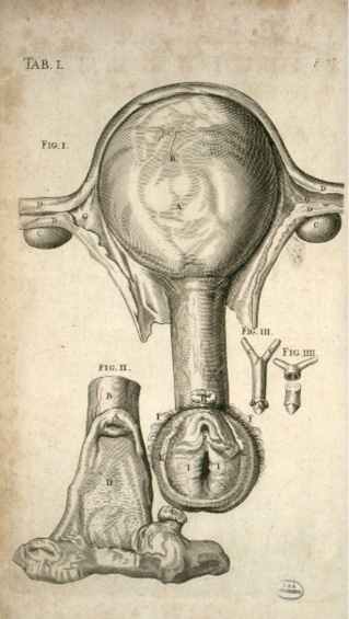 Illustration anatomique du système reproducteur féminin : utérus, trompes de Fallope et structures associées, avec légendes et annotations (TAB. I, Fig. I-IV, lettres A à D) pour identifier les différentes parties.