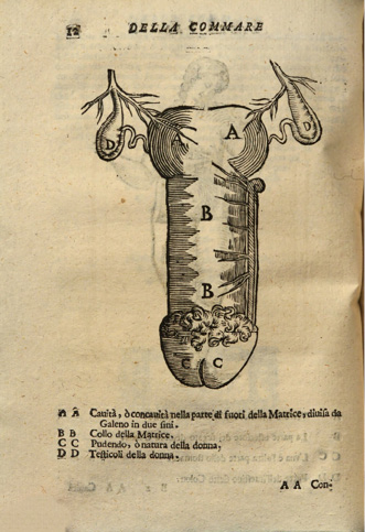 Illustration anatomique du système reproducteur féminin, intitulée ‘Della Commare’. Les parties sont identifiées par des lettres (A à D) avec légende décrivant la matrice, le col, le pudendum et les testicules féminins.