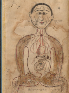 Women in early medical texts often symbolize fertility. Ketham’s and Manṣūr’s works depict pregnant figures, with Manṣūr also illustrating fetal development, reflecting anatomical curiosity and cultural views on reproduction. 