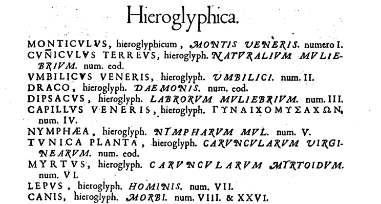 Légende hiéroglyphique accompagnant l’emblème. Elle contient des explications allégoriques des éléments représentés, tels que le lièvre, le chien et la montagne.