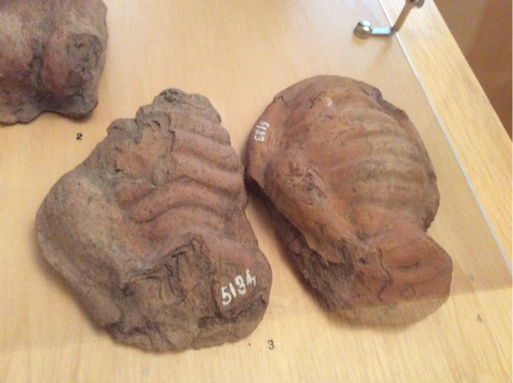 Two ancient terracotta votive objects labeled “5194” and “5193” are displayed in a glass case on a wooden base. Their weathered surfaces suggest age and ritual use. A metal fixture is visible in the upper right corner. 