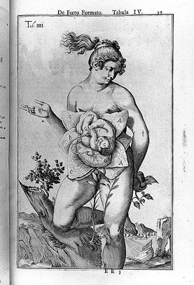 Old anatomical illustration: a female figure with a womb shaped like a flower, whose petals are marked with letters. A symbolic image representing the uterus as a fertile garden