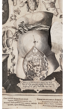 From veiled female form to Medusa-like figure, the anatomical flap sequence reveals layers of the uterus, ending with a foetus. A visual journey through femininity and anatomy in Remmelin’s Catoptrum microcosmicum (1619). 