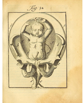 A comparative view of 18th-century obstetrical texts—from Deventer (1701), Genteki (1775), to Coudray (1769)—reveals the global spread of childbirth knowledge across Europe and Asia, blending tradition with anatomical insight. 