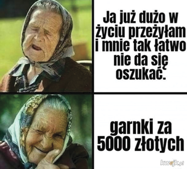 Mem składa się z dwóch części. W pierwszej widzimy starszą kobietę ze zdecydowanym wyrazem twarzy w "wiejskiej" chustce i napis: "Ja już dużo w życiu przeżyłam i mnie tak łatwo nie da się oszukać". W drugiej części, podobnej kobiecie z miną wyrażającą najwyższe zadowolenie towarzyszy napis: "Garnki za 5000 złotych.