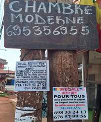 A photo showing French and English ads nailed side by side on utility poles, illustrating the spatial cohabitation of languages. 